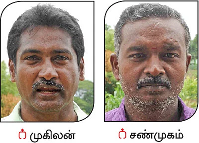 மர மீட்பு போராட்டம்!