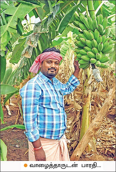 50 சென்ட்... 70,000 ரூபாய்... வாரிக்கொடுக்கும் வாழை...