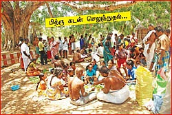 தேவாரத் திருவுலா! - திருப்பூவணம்