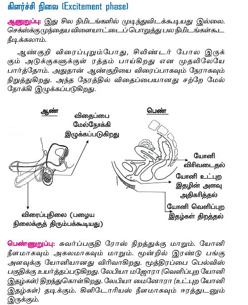 அந்தப்புரம் - 17