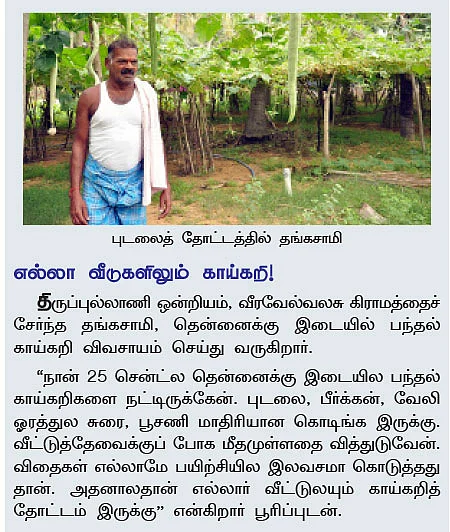 காலி இடங்களிலெல்லாம் காய்கறிகள்..!