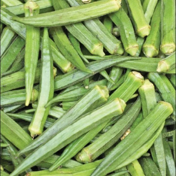Lady’s Finger… Magic of Improving its Yield!