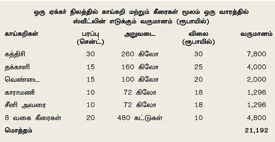 கலப்புப் பயிரில் கலக்கும் பெண் விவசாயி!