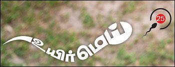 உயிர்மெய் - 25