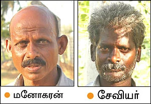 கலக்கலான வருமானம் தரும் கலப்புப் பயிர்கள்!