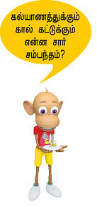 மூங்கில் மூச்சு! - 28
