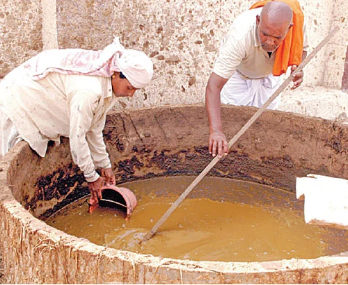 தாமதமான காவிரித் தண்ணீர்... டெல்டாவுக்கேற்ற நெல் சாகுபடி முறை!
