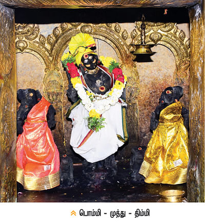 Human Gods Stories - Pommi - Thimmi