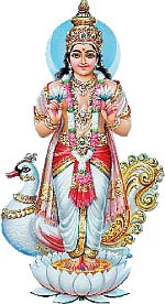 காலக் கணிதத்தின் சூத்திரம்!