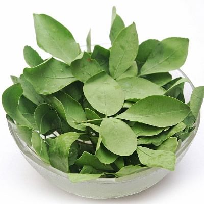 பிணி போக்கும் வில்வம்