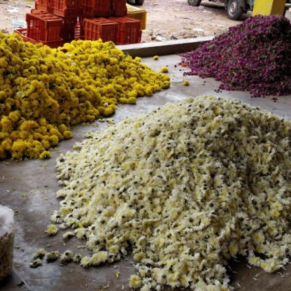 பூக்கள்