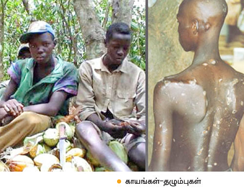 கார்ப்பரேட் கோடரி - 7