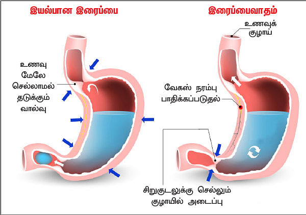 ஸ்வீட் எஸ்கேப் - 19