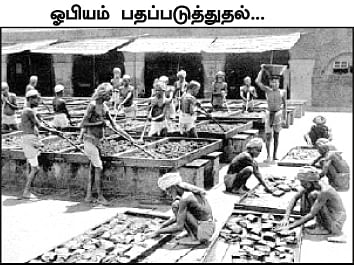 எனது இந்தியா!