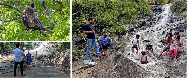 கோவை to லக்கம் அருவி - இது மறையூர் ஸ்பெஷல் - அடிக்கு ஓர் அருவி!