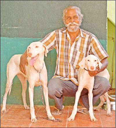 என் செல்லமே...