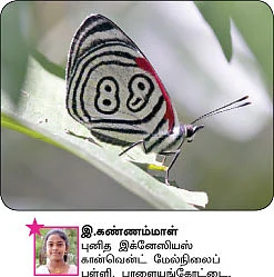 சுட்டி நியூஸ்