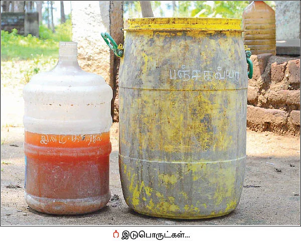 ஆண்டுக்கு ரூ4 லட்சம்... வறட்சியிலும் வாழ வைக்கும் இயற்கை கொய்யா!