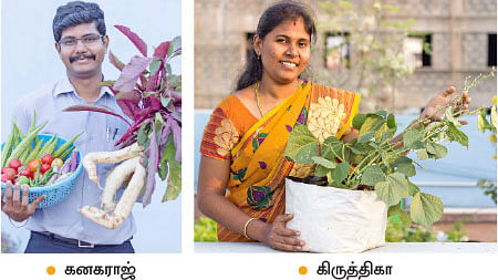 வீட்டுக்குள் விவசாயம் - 6