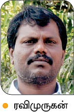 நீங்கள் கேட்டவை: நல்ல மகசூல் தரும் சோளம்?