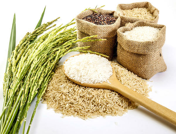 உணவின்றி அமையாது உலகு - 16