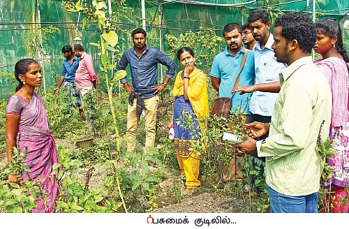 ஒரு நாள் விவசாயி! பருவம்-2 - அசத்தும் கீரை சாகுபடி!