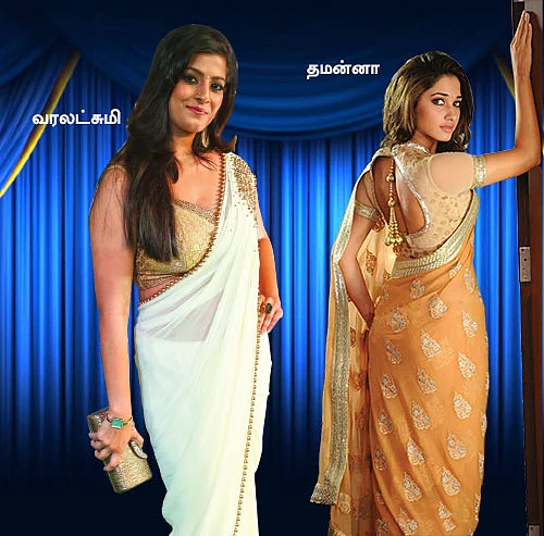 மிஸ்டர் மியாவ்