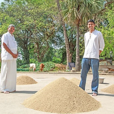 சீரக சம்பா, கிச்சிலி சம்பா, சொர்ணமசூரி...