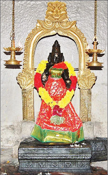 சகலமும் அருளும் கெளரி தேவி வழிபாடு!