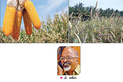 நீங்கள் கேட்டவை