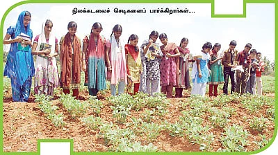 நல்லதைக் கொடுக்கும் வம்பன் !