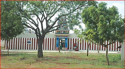 என்னை வாழ வைக்கும் ஈசன்!