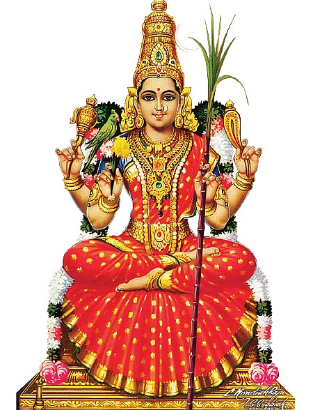 கயிலை... காலடி... காஞ்சி! - 9