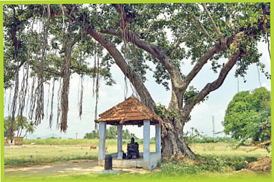 வெற்றிலை மாலை சார்த்தினால்... விரைவில் வேலை நிச்சயம்!