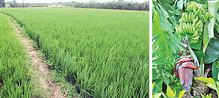 நீங்கள் கேட்டவை