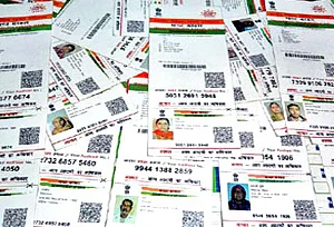 ஆதார் ஜூனியர்: பிட்ஸ்