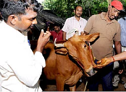 மரத்தடி மாநாடு