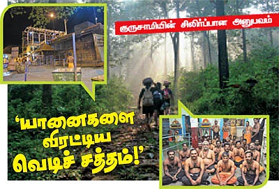 'யானைகளை விரட்டிய வெடி சத்தம்!'