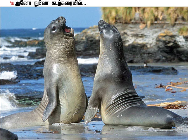 “சிந்தனையை வார்த்தைகள் முந்த முடியாது!”