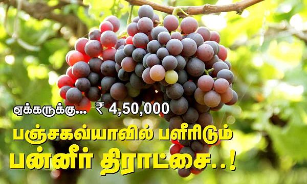 ஏக்கருக்கு... ரூ.4,50,000