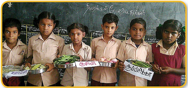 தக்காளி எந்த நாட்டுத் தாவரம்?