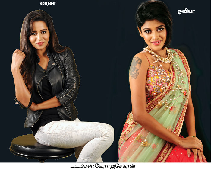 மிஸ்டர் மியாவ்