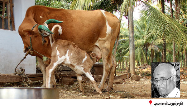 நீங்கள் கேட்டவை : இயற்கை அங்காடி நடத்த பயிற்சி அவசியமா?