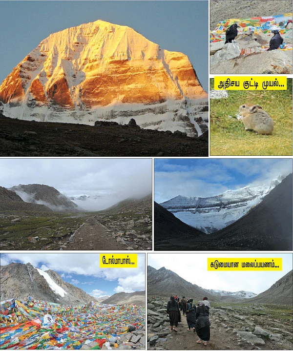 பனிமுடி தரிசனம்