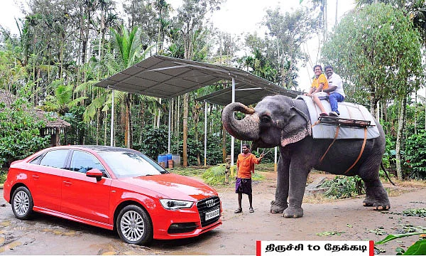 ஒரு சிறிய வனம்... அதில் எங்கள் மனம்!