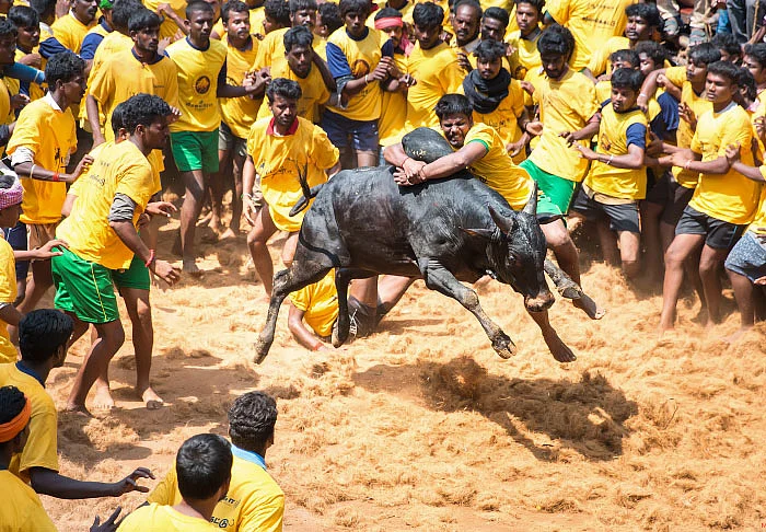சாதிக்க, செவலை ரெடி!