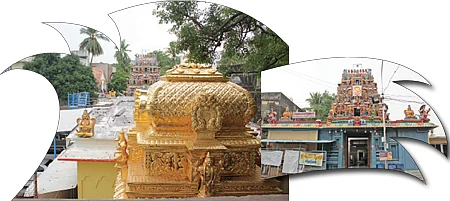 வேண்டும் வரம் தருவான்... ஸ்ரீவேணுகோபாலன்!