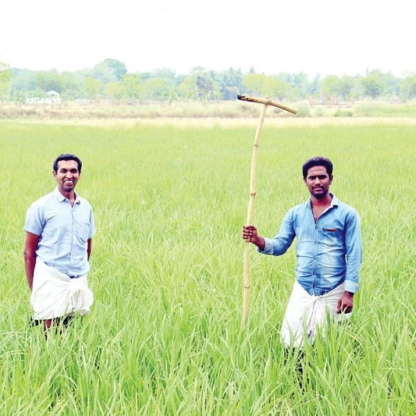 19 ஏக்கர்... ரூ 15 லட்சம் - நெல், எள், வாழை, உளுந்து... சிறப்பான லாபம் கொடுக்கும் ஜீரோ பட்ஜெட்!