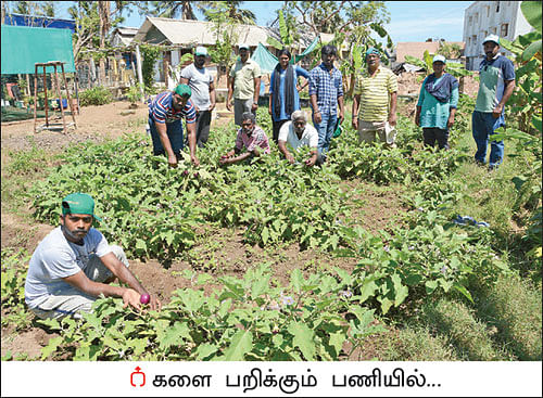 ஒரு நாள் விவசாயி! பருவம் 2 - பண்ணையை நோக்கி பயனுள்ள பயணம்