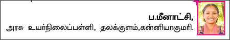 சுட்டி ஸ்டார் நியூஸ்!